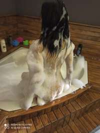 Seçkin eve gelen kadın Nazmiye